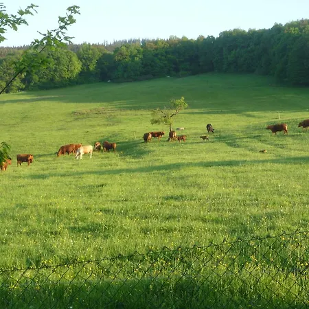 Appartamento Wiesengrund *