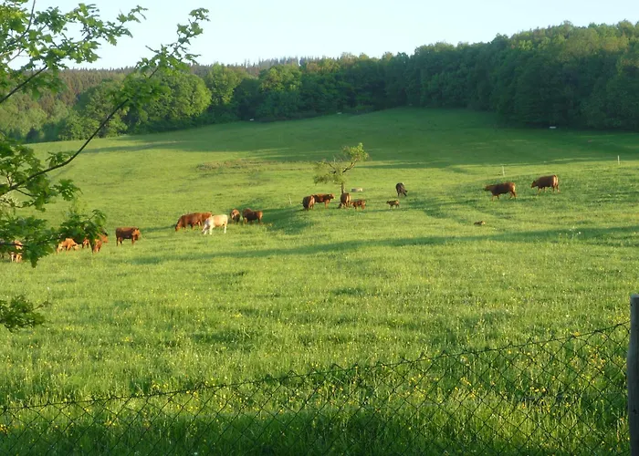 Appartement Wiesengrund *